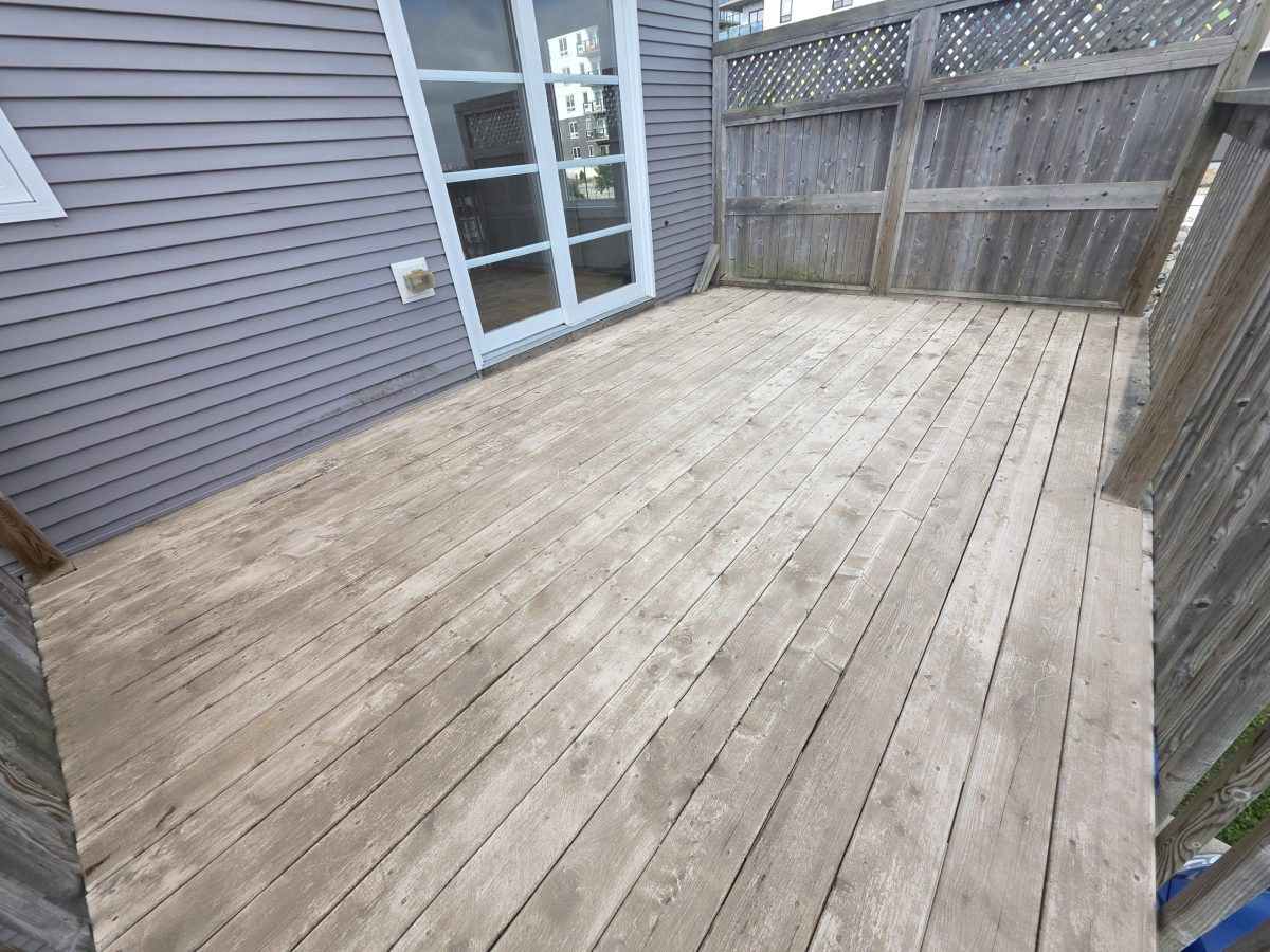 Carrie Best Patio