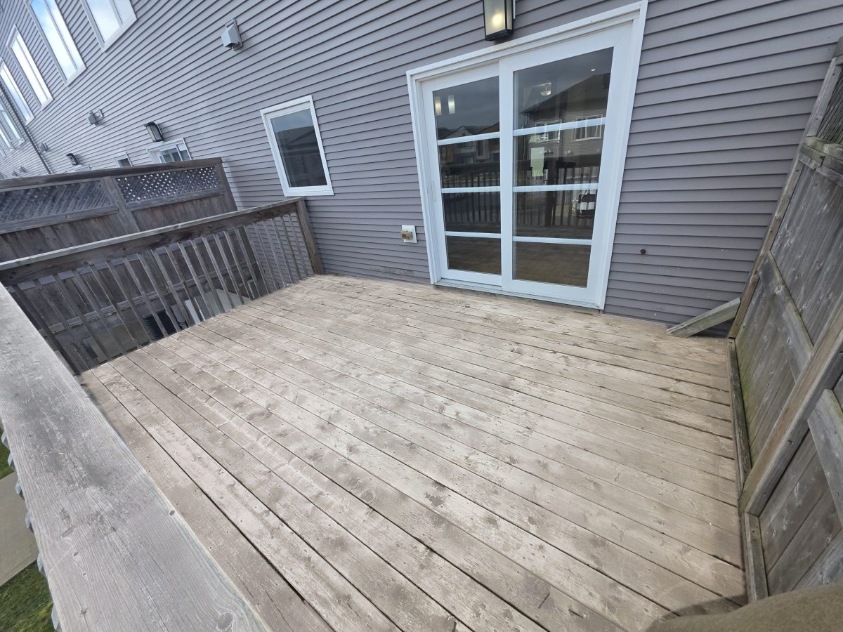 Carrie Best Patio